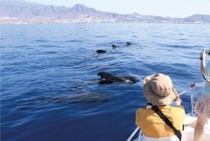 Costa Adeje: Whale Watching Eco Experience with Hydrophone.