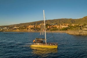 Costa Adeje: Adejee: Whale Watching Tour with Food and Drinks: Whale Watching Tour with Food and Drinks