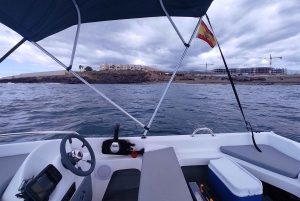 'Descubre la Libertad: Alquila un barco, ¡no necesitas licencia!'