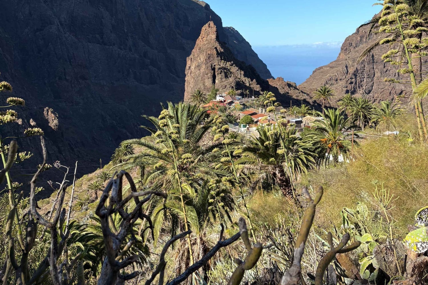 Scopri Masca a modo nostro