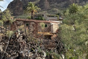 私たちの方法でマスカを発見してください