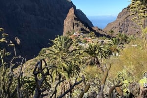 私たちの方法でマスカを発見してください