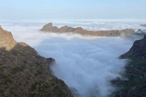 私たちの方法でマスカを発見してください