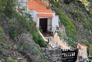 私たちの方法でマスカを発見してください