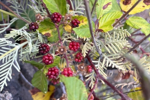 Scopri Masca a modo nostro