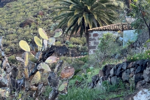 Scopri Masca a modo nostro