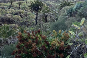 Scopri Masca a modo nostro