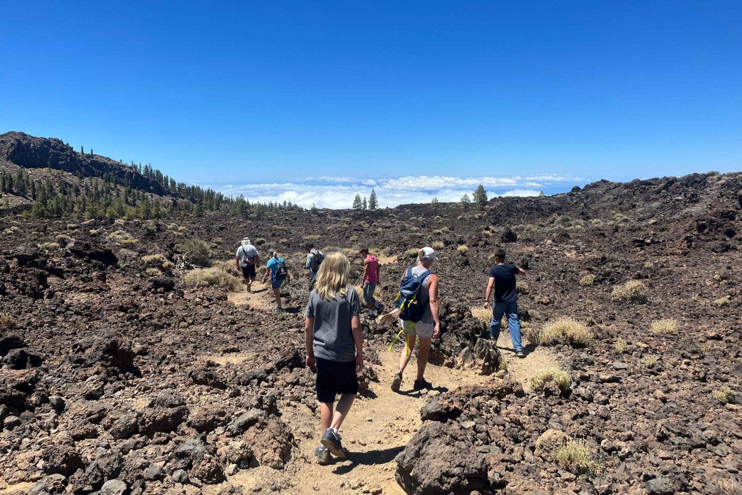 Découvrez le Teide et le volcan Arenas Negras lors d'une visite intime depuis le nord.