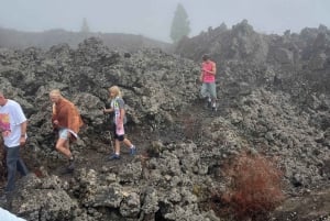 Discover Mount Teide and the Arenas Negras volcano on an intimate tour from the north.
