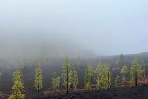 Discover Mount Teide and the Arenas Negras volcano on an intimate tour from the north.