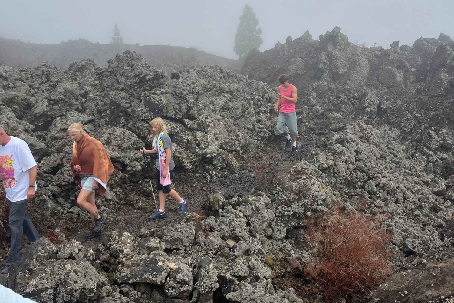 Upptäck Teide och vulkanen Arenas Negras på en intim tur från söder.