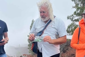 Discover Mount Teide and the Arenas Negras volcano on an intimate tour from the south.