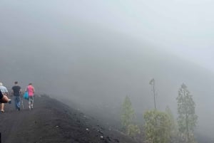 Discover Mount Teide and the Arenas Negras volcano on an intimate tour from the south.