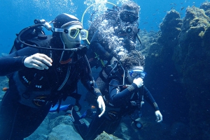  Discover Scuba Diving 1-Day Course with Photos