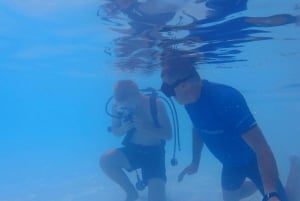  Discover Scuba Diving 1-Day Course with Photos