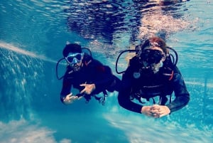 Opdag dykkeroplevelsen