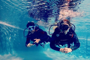 Opdag dykkeroplevelsen