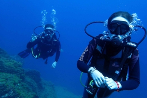 Opdag dykkeroplevelsen