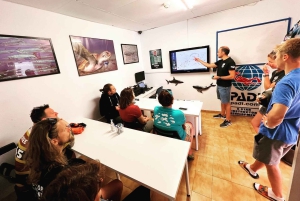 Opdag dykkeroplevelsen