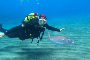 Discover Scuba Diving in the ocean with Pictures and Snacks