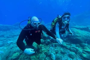 Diving course for beginners in turtle area Tenerife
