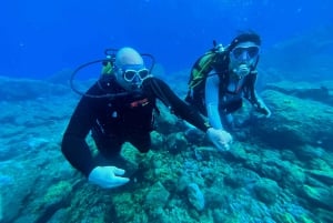 Duikcursus voor beginners in schildpaddengebied Tenerife