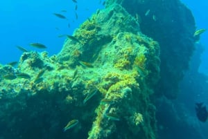 Duikcursus voor beginners in schildpaddengebied Tenerife