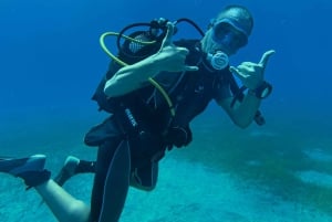 Duikcursus voor beginners in schildpaddengebied Tenerife