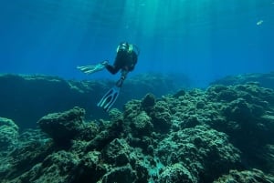 Duikcursus voor beginners in schildpaddengebied Tenerife