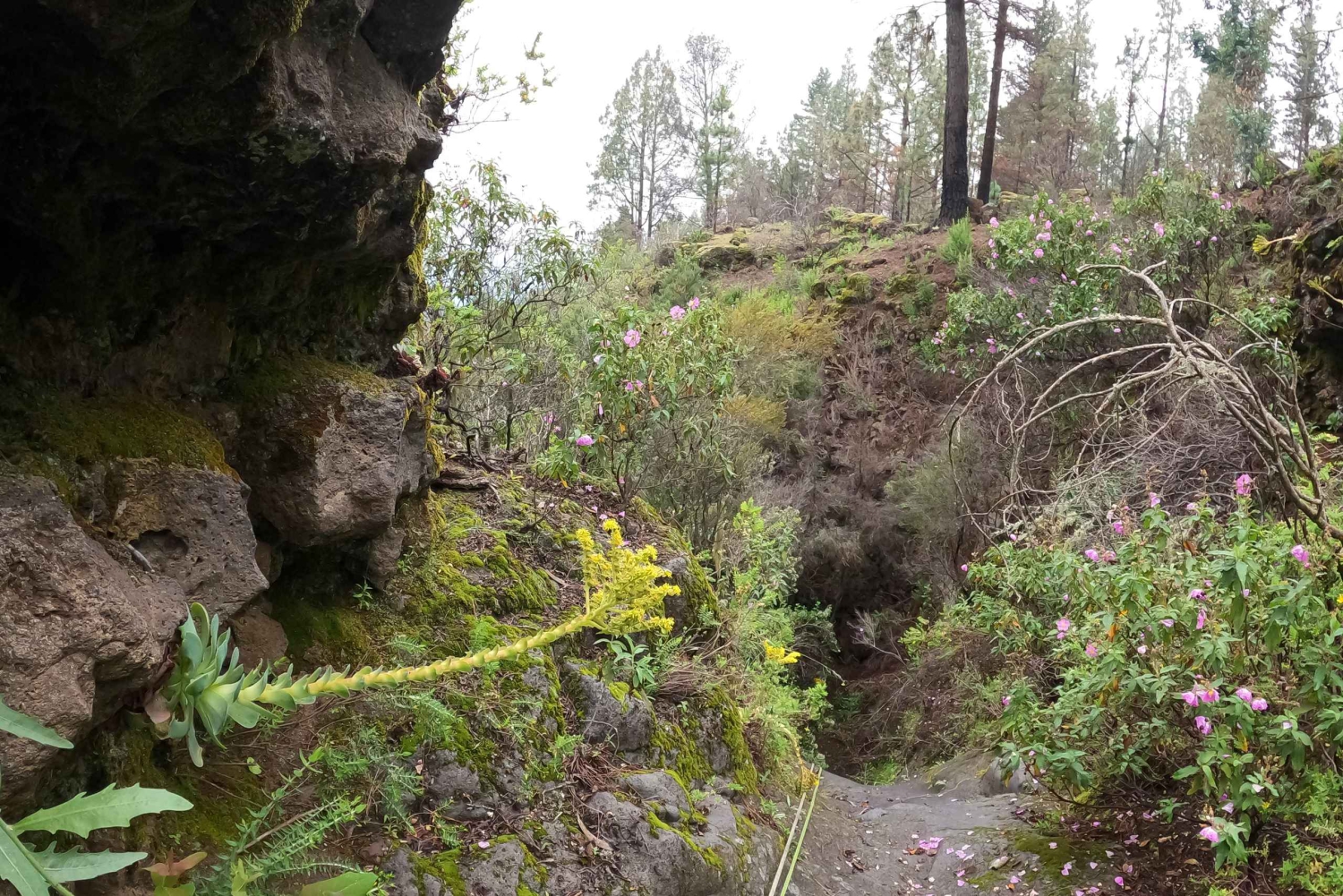 Canyoning a secco Chimoche