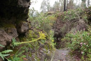 Dry canyoning Chimoche