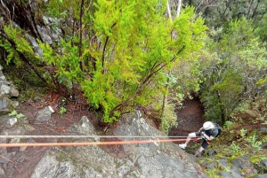 Canyoning a secco Chimoche