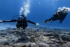 El Médano, Teneriffa: Einführung ins Tauchen für Anfänger