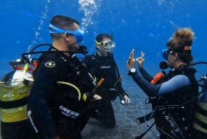 El Médano, Tenerife: Dykkerkursus i åbent vand