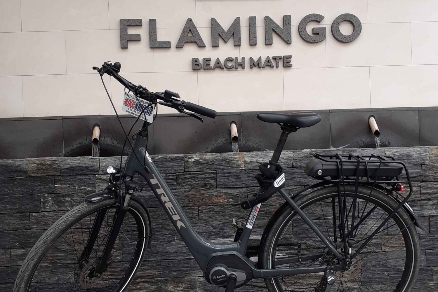 Electric City Bike Rental with Hotel Delivery