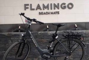 Electric City Bike Rental with Hotel Delivery