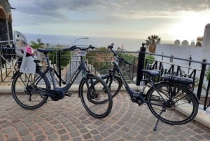 Alquiler de bicicletas eléctricas urbanas con entrega en el hotel
