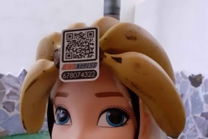 Elektro-Stadtfahrradverleih mit Hotelzustellung