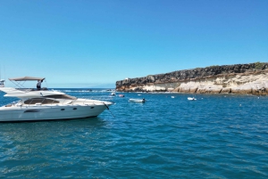 Embárcate en Ohh Lala navegando por el suroeste de Tenerife