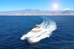 Embárcate en Ohh Lala navegando por el suroeste de Tenerife