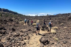Randonnée exclusive sur le Teide avec un guide certifié
