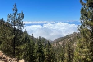 Randonnée exclusive sur le Teide avec un guide certifié