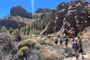 Randonnée exclusive sur le Teide avec un guide certifié