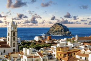 Exclusive Tours in Tenerife: discover the Island in Comfort