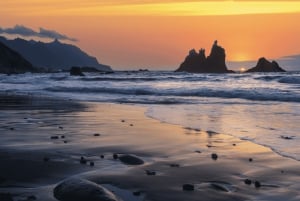 Tour esclusivi a Tenerife: scoprite l'isola in tutta comodità