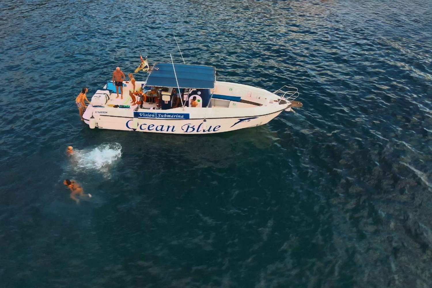 Wycieczka, aby zobaczyć wieloryby – 3 godziny