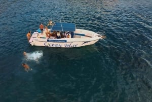 Wycieczka, aby zobaczyć wieloryby – 3 godziny