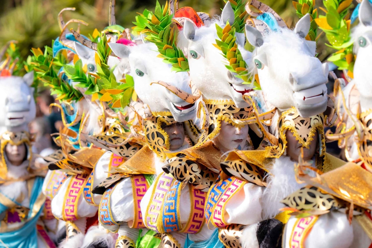 Excursion to the Santa Cruz de Tenerife Carnival Parade