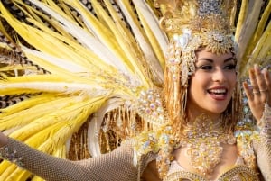 Excursion to the Santa Cruz de Tenerife Carnival Parade