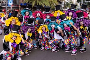Excursion to the Santa Cruz de Tenerife Carnival Parade